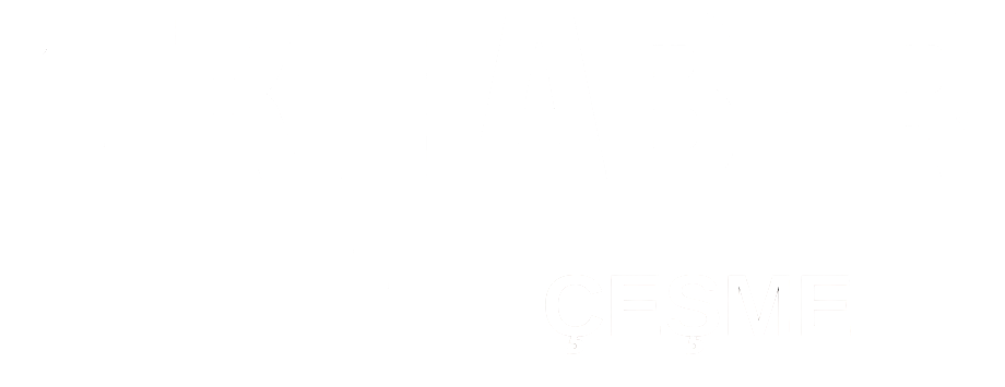 theme-sticky-logo-alt